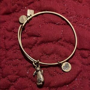 Alex and Ani Otter Bracelet in VGC